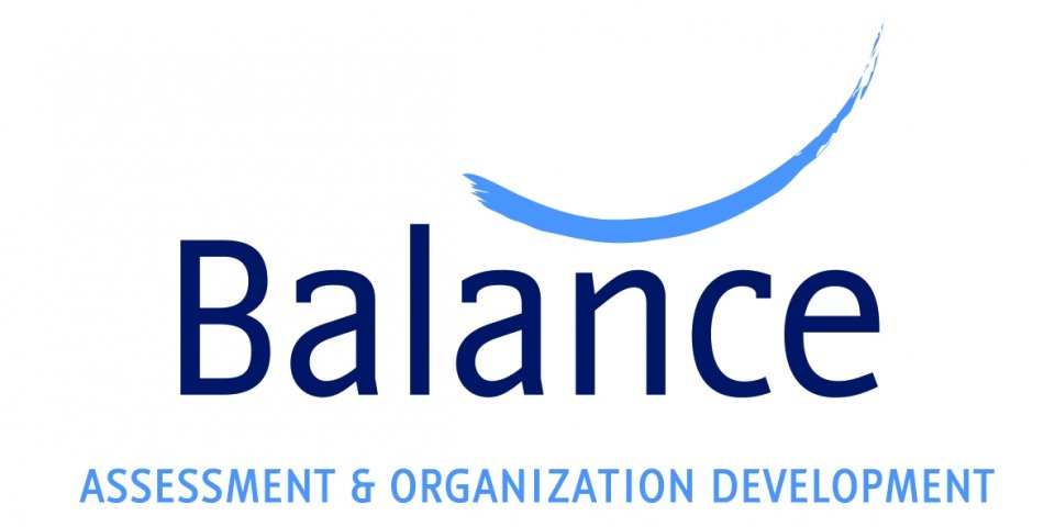balance-assessment-organization-development.jpg